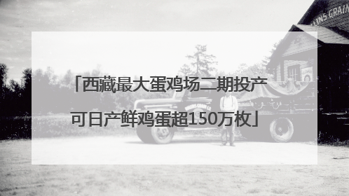 西藏最大蛋鸡场二期投产 可日产鲜鸡蛋超150万枚
