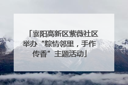 襄阳高新区紫薇社区举办“粽情邻里，手作传香”主题活动