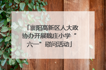 襄阳高新区人大政协办开展魏庄小学“六一”慰问活动