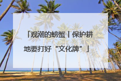 观潮的螃蟹丨保护耕地要打好“文化牌”