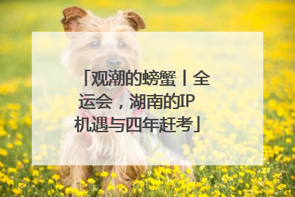 观潮的螃蟹丨全运会，湖南的IP机遇与四年赶考