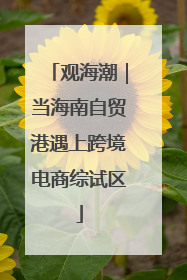 观海潮｜当海南自贸港遇上跨境电商综试区