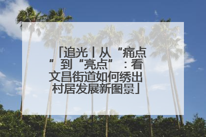 追光丨从“痛点”到“亮点”：看文昌街道如何绣出村居发展新图景