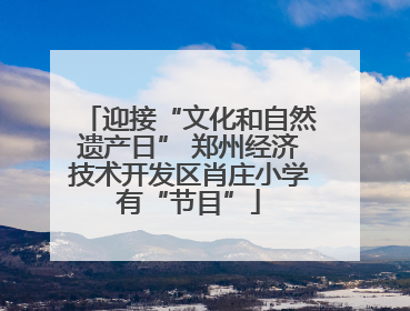 迎接“文化和自然遗产日” 郑州经济技术开发区肖庄小学有“节目”