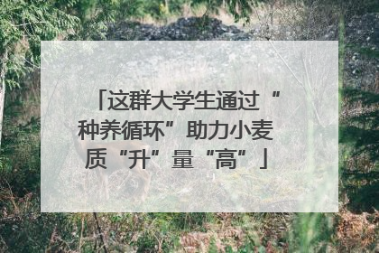 这群大学生通过“种养循环”助力小麦质“升”量“高”