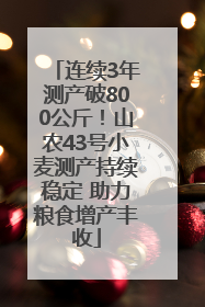 连续3年测产破800公斤！山农43号小麦测产持续稳定 助力粮食增产丰收