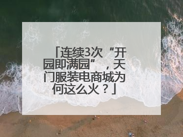 连续3次“开园即满园”，天门服装电商城为何这么火？