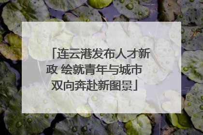 连云港发布人才新政 绘就青年与城市双向奔赴新图景