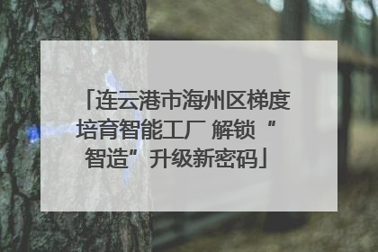 连云港市海州区梯度培育智能工厂 解锁“智造”升级新密码