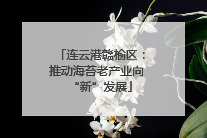 连云港赣榆区：推动海苔老产业向“新”发展