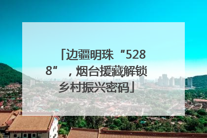 边疆明珠“5288”，烟台援藏解锁乡村振兴密码