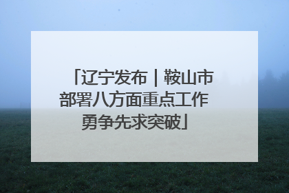 辽宁发布｜鞍山市部署八方面重点工作勇争先求突破