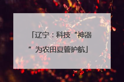 辽宁：科技“神器”为农田夏管护航