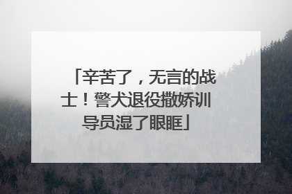 辛苦了，无言的战士！警犬退役撒娇训导员湿了眼眶