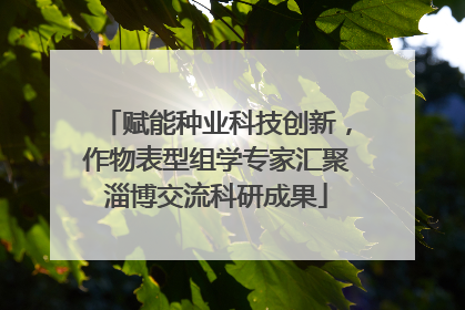 赋能种业科技创新，作物表型组学专家汇聚淄博交流科研成果