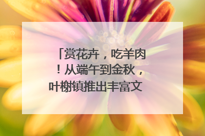 赏花卉，吃羊肉！从端午到金秋，叶榭镇推出丰富文旅活动邀您爽玩