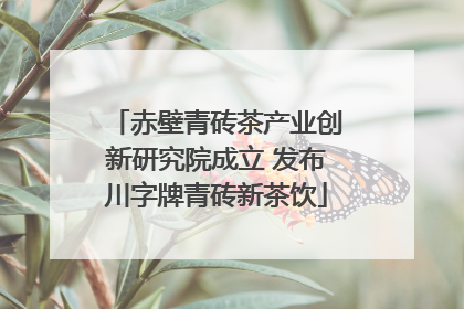 赤壁青砖茶产业创新研究院成立 发布川字牌青砖新茶饮