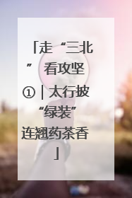 走“三北” 看攻坚①｜太行披“绿装” 连翘药茶香