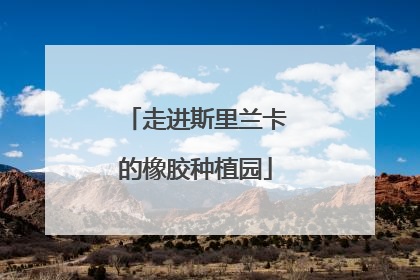 走进斯里兰卡的橡胶种植园