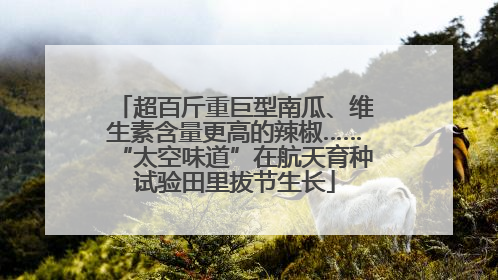 超百斤重巨型南瓜、维生素含量更高的辣椒……“太空味道”在航天育种试验田里拔节生长