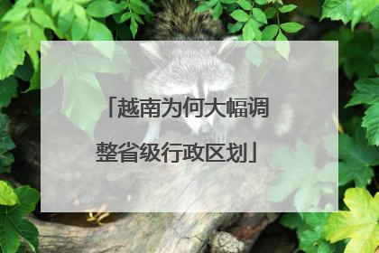 越南为何大幅调整省级行政区划