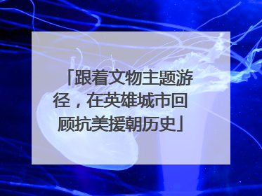 跟着文物主题游径，在英雄城市回顾抗美援朝历史
