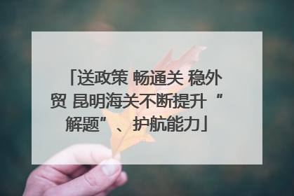送政策 畅通关 稳外贸 昆明海关不断提升“解题”、护航能力