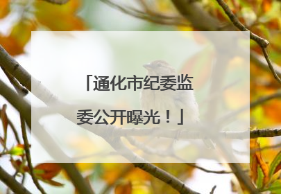 通化市纪委监委公开曝光！
