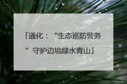 通化：“生态巡防警务”守护边境绿水青山