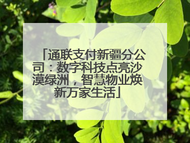 通联支付新疆分公司：数字科技点亮沙漠绿洲，智慧物业焕新万家生活
