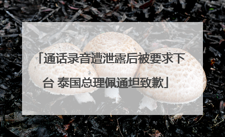 通话录音遭泄露后被要求下台 泰国总理佩通坦致歉