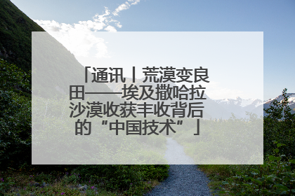 通讯丨荒漠变良田——埃及撒哈拉沙漠收获丰收背后的“中国技术”