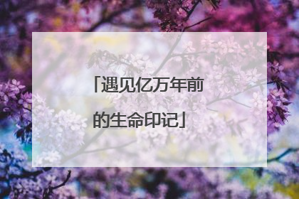 遇见亿万年前的生命印记