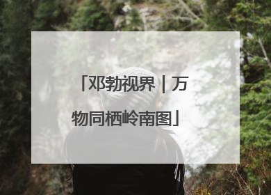 邓勃视界｜万物同栖岭南图