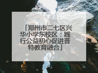 郑州市二七区兴华小学东校区：践行公益初心促进普特教育融合