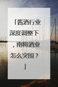 酱酒行业深度调整下，南将酒业怎么突围？