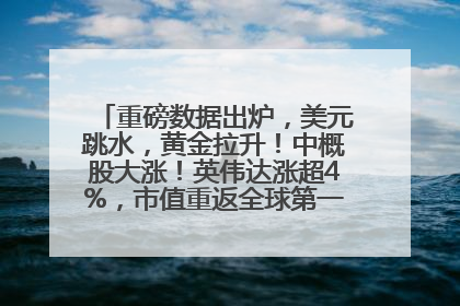 重磅数据出炉，美元跳水，黄金拉升！中概股大涨！英伟达涨超4%，市值重返全球第一！黄仁勋计划出售至多600万股股票