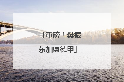 重磅！樊振东加盟德甲