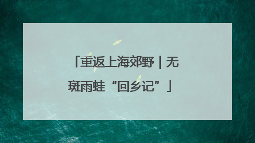 重返上海郊野｜无斑雨蛙“回乡记”