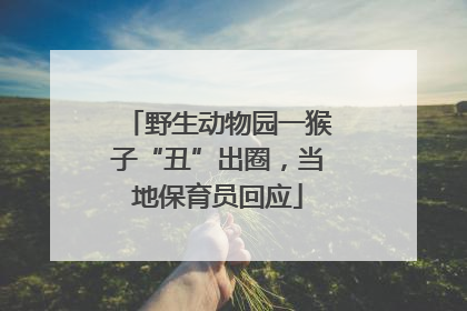 野生动物园一猴子“丑”出圈，当地保育员回应