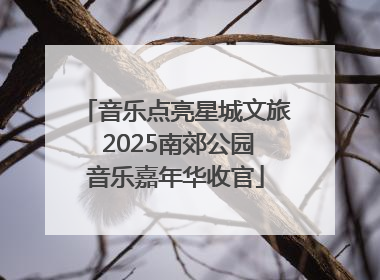 音乐点亮星城文旅 2025南郊公园音乐嘉年华收官