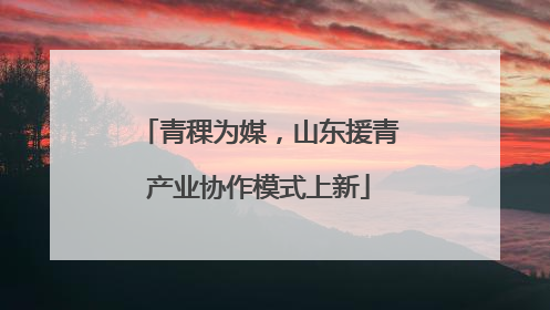 青稞为媒，山东援青产业协作模式上新