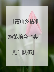 青山乡精准施策培育“头雁”队伍