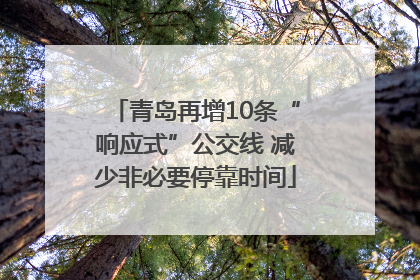青岛再增10条“响应式”公交线 减少非必要停靠时间