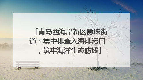 青岛西海岸新区隐珠街道：集中排查入海排污口，筑牢海洋生态防线