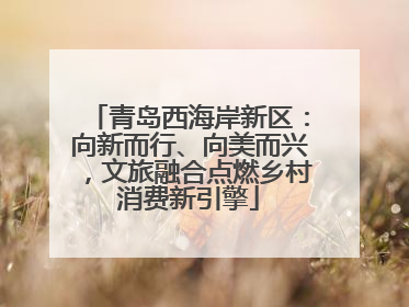 青岛西海岸新区：向新而行、向美而兴，文旅融合点燃乡村消费新引擎