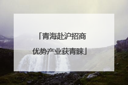 青海赴沪招商 优势产业获青睐
