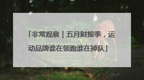 非常观察｜五月财报季，运动品牌谁在领跑谁在掉队