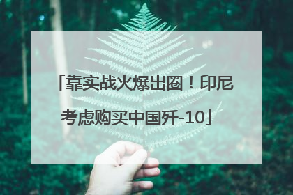 靠实战火爆出圈！印尼考虑购买中国歼-10