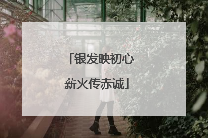 银发映初心 薪火传赤诚
